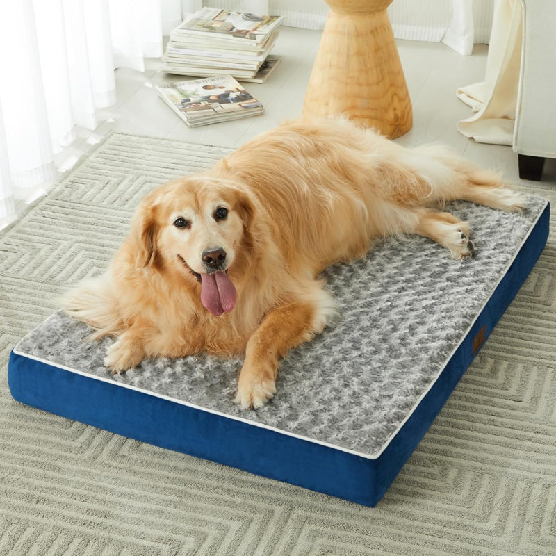 Orthopedic bed for large dogs hotsell